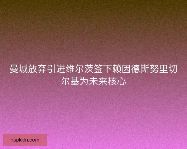 曼城放弃引进维尔茨签下赖因德斯努里切尔基为未来核心 曼城放弃引进维尔茨签下赖因德斯努里切尔基为未来核心