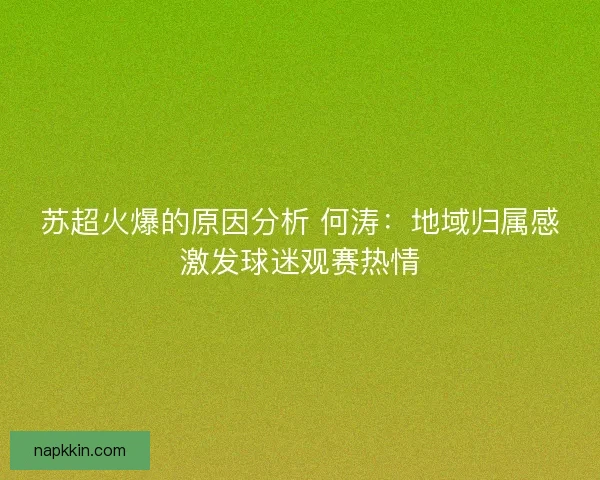 苏超火爆的原因分析 何涛：地域归属感激发球迷观赛热情
